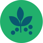 Omeopatia